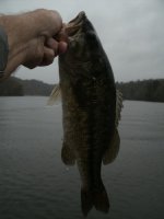 image Big bass 012.JPG